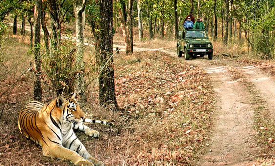 jim corbett tour packages from delhi